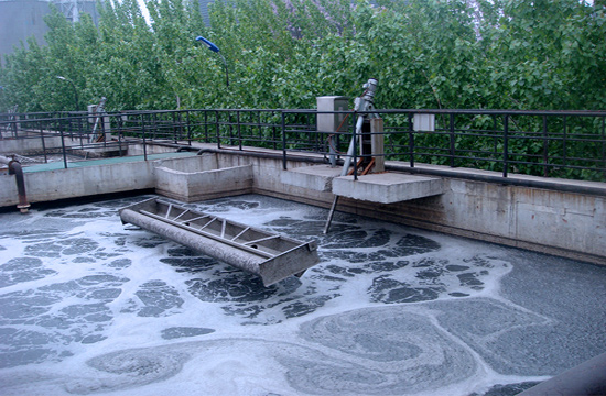 Petrochemical wastewater